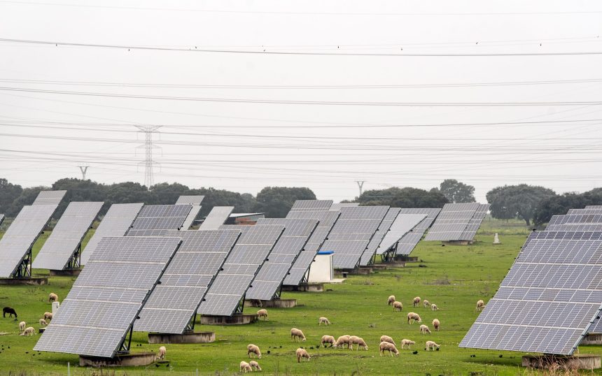 Top Solar Companies in Haiti